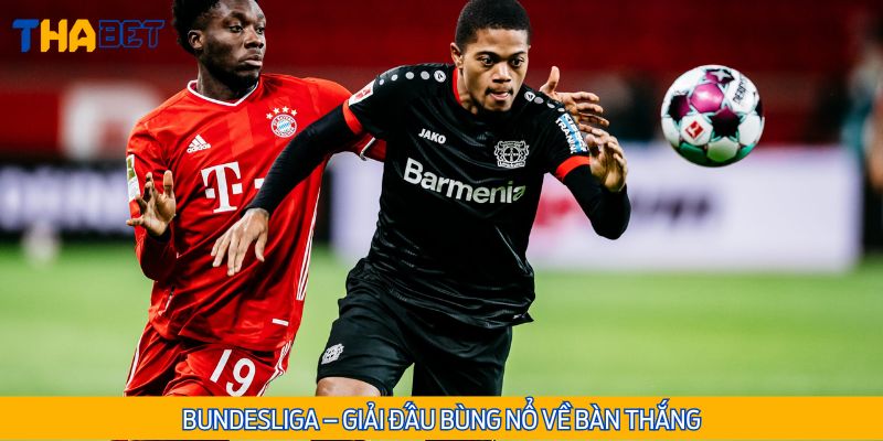 Tham gia dự đoán kèo cược tài xỉu tại giải bóng nước Đức