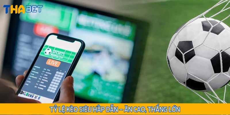 Thabet – lựa chọn vàng cho dân cá cược bóng đá