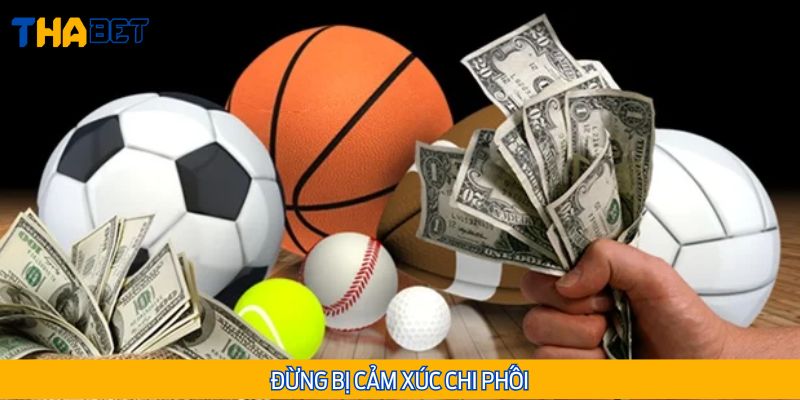 Không cược theo cảm tính hay tâm lý số đông