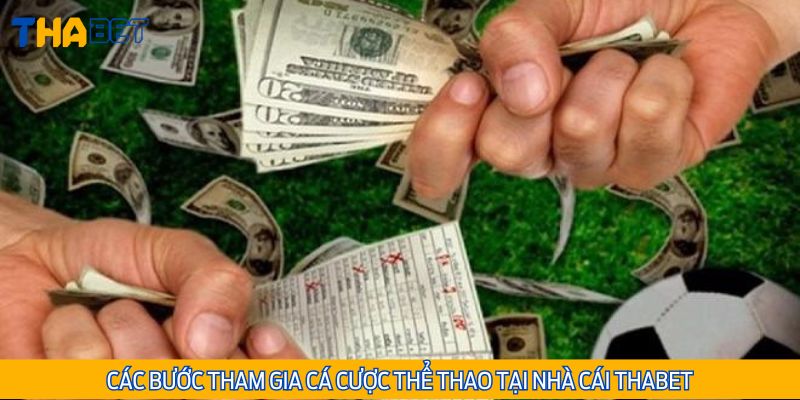 Hướng dẫn quy trình tham gia cá cược thể thao tại Thabet cho newbie
