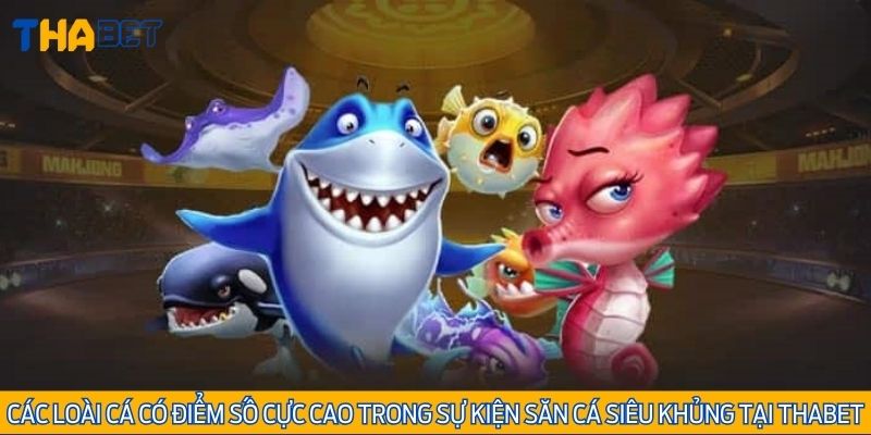 Các loài cá có điểm số cực cao trong sự kiện săn cá siêu khủng tại Thabet