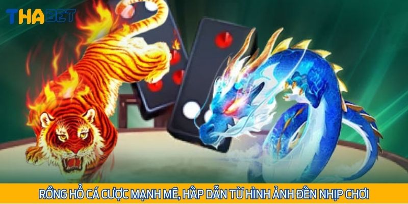 Rồng Hổ cá cược mạnh mẽ, hấp dẫn từ hình ảnh đến nhịp chơi