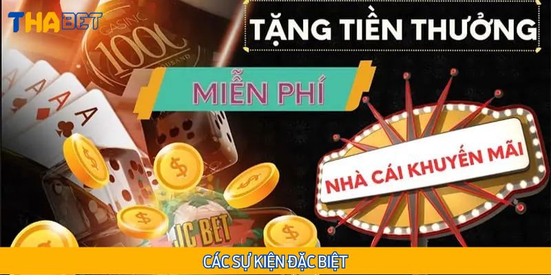 Các sự kiện đặc biệt có tại THABET