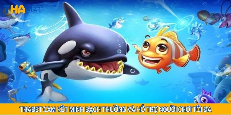 Thabet cam kết minh bạch thưởng và hỗ trợ người chơi tối đa