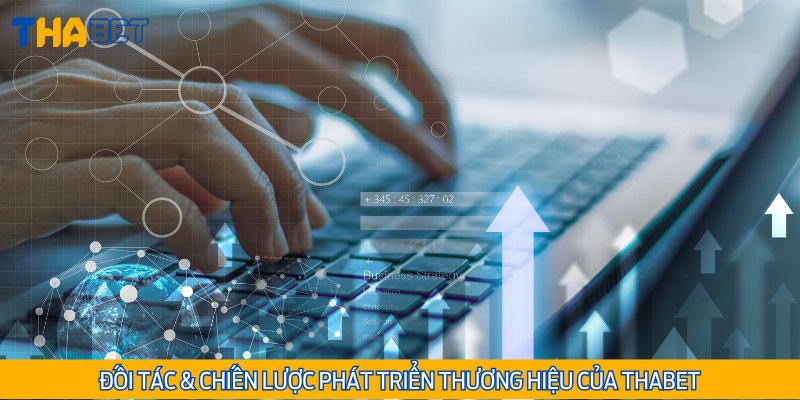 Các đối tác chiến lược của nhà cái cá cược trực tuyến Thabet