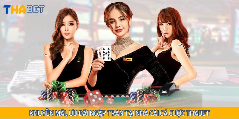 Các chương trình thưởng ưu đãi lớn trong năm của Thabet