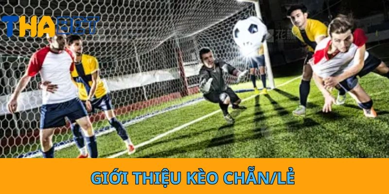 Giới thiệu kèo chắn/lẻ