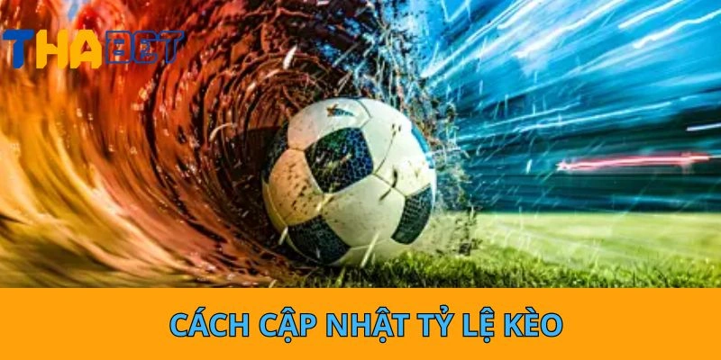 Cách cập nhật tỷ lệ kèo